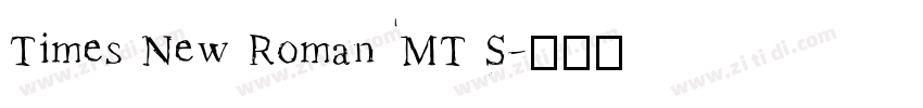 Times New Roman MT S字体转换